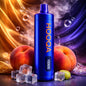 HOOKAH NASTY DF15KI - PEACH ICE