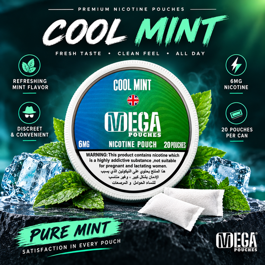 MEGA POUCHE 6 MG COOL MINT