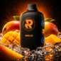 ROXO TWO - MANGO ICE