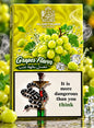 ALOSTOURA GRAPE  250GM