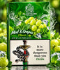 ALOSTOURA MINT & GRAPE  250GM
