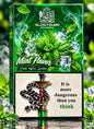 ALOSTOURA MINT  250GM